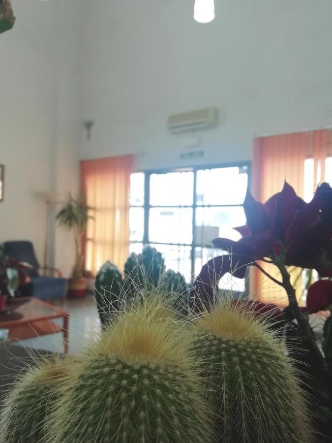 Bayo Lirola Hotel Balisa Nijar Ngoại thất bức ảnh